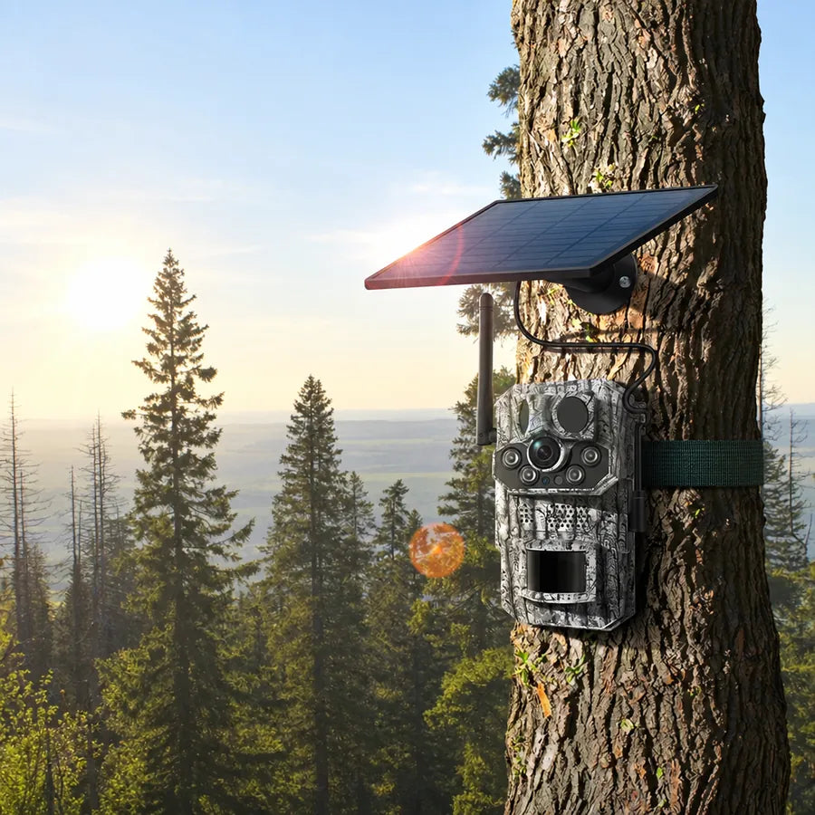 Revio with its solar panel on a pine trunk