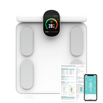 Smart Scale V2